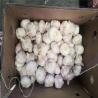 Buy cheap Pure White Flaovr Fresh Natural Garlic BRC 400Gx10/4KG from wholesalers