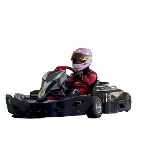 48V Adult Remote Control Go Kart