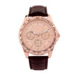 Multifeature Alloy Quartz Wrist Watch sport EMC Approved