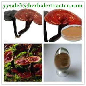 Quality reishi mushroom series: Reishi slices, Reishi Mushroom Extract polysaccharide 20% triterpenoids1% , Manufacture for sale