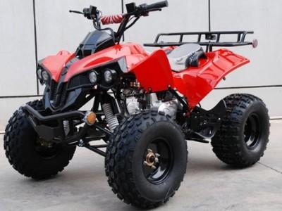 Buy cheap 110cc Quad Bikes from wholesalers