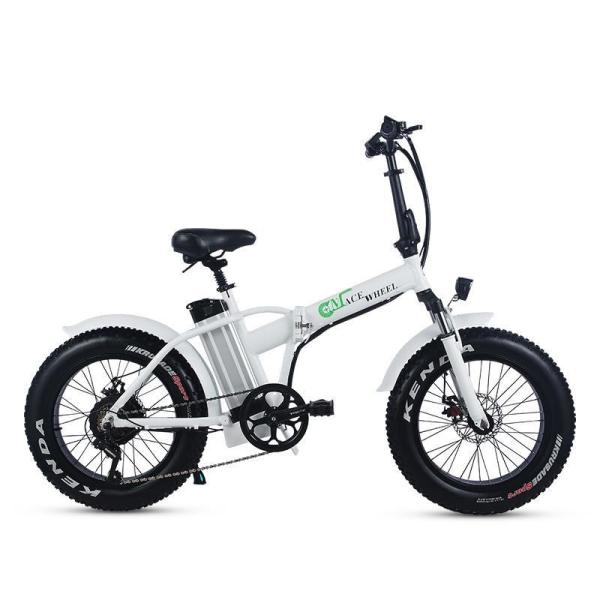 500W Motor Fat Electric Bike Foldable with 48V 15AH Lithium Battery and 20"