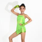 Latin Dance Competition Costumes Sequined Bodice Sensational One Shoulder Fringe