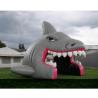 Buy cheap Outdoor kids N adults blow up inflatable football helmet tunnel with bubble design from Sino Inflatables from wholesalers