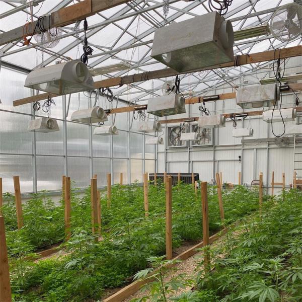 Buy cheap Fully Automated Light Deprivation Greenhouse Tunnel Agriculture Single-Span Blackout Shading In Greenhouse For Sale from wholesalers