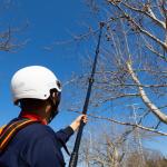 21FT Electric Pole Chain Saw Commercial Landscaping Pole Pruning Chainsaw