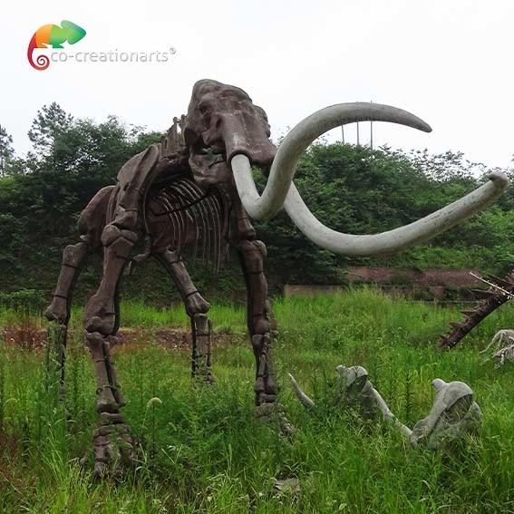 Buy cheap weather reistance Real Size Replica Animal Skeletons Mammuthus Model from wholesalers