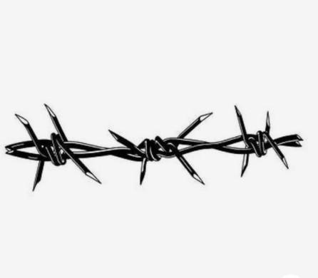 China manufacture wholesale barb wire in sri lanka hot dipped galvanized barbed