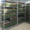 Buy cheap Plywood Flower Trolley Nylon Wheel 2 Directional Wheel 2 Universal Wheel Trolley from wholesalers