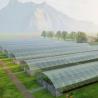 Buy cheap JX-A0078 Large Film Solar Greenhouses Steel Structure Single Span Tunnel Greenhouse from wholesalers