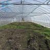 Buy cheap Philippines Prefabricated Kit single-span Strawberry Greenhouse Tunnel Plastic Greenhouse from wholesalers