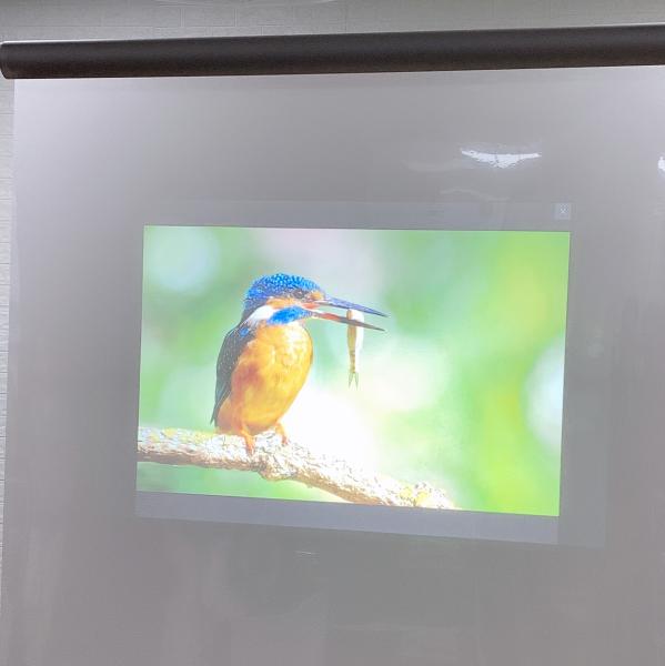 Buy cheap Daylight transparent holographic film , Adhesive Mirror Film For Shopping Malls from wholesalers
