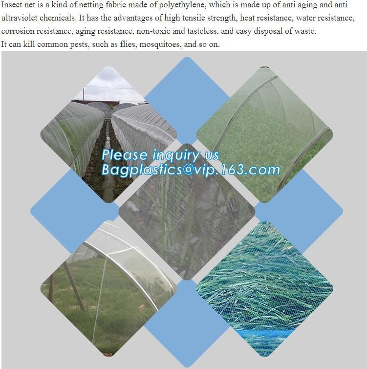 agriculture anti insect net on roll insect proof mesh for greenhouse,Greenhouse Anti Insect Netting /Agriculture Netting