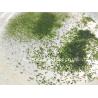 Buy cheap Umami Flavor Green Aonori Powdered Seaweed with Smooth Fine Powder Texture from wholesalers