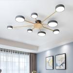Bedroom living room ceiling chandelier bedroom nordic wooden ceiling light（WH-WA