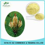 Pure Natural Meadow Pine Extract Powder 4:1 - 20:1
