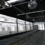 100% Blackout Auto Light Dep Greenhouse With Blackout System Height 5M