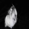 Buy cheap Virgin Polyester Staple Fibers White Eco-Friendly PSF Customizable Crimp from wholesalers