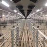 Buy cheap Turn Key Hog Raising Piggery Farm Equipment Auger Conveying With House from wholesalers