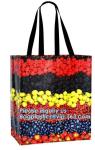 Chinese suppliers custom printed shopping portable hand non woven bag with print