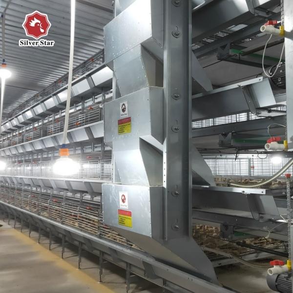 8.67m/Min Livestock Automatic Chicken Feeder System , SGS 0.75kw Chicken Feed