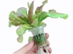 Farming Equipment NFT 63mm Hydroponic Pvc Pipe