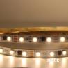 Buy cheap Ws2811 IC 5050 Warm White LED Strip , Flowing Single Colour LED Light OEM from wholesalers