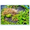 Buy cheap Enviro Weed Block Fabric Anti UV Agricultural Non Woven Cover Fabric from wholesalers