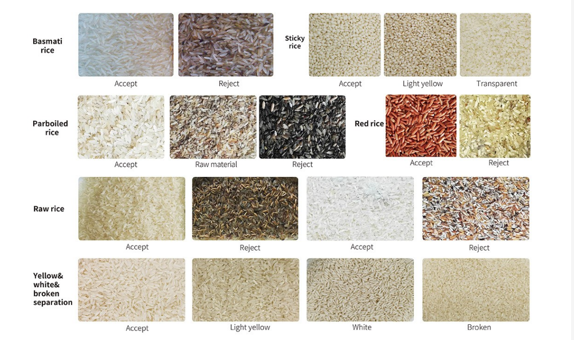Agricultural Industrial Colour Sorting Machine 600-700KG/H Capacity