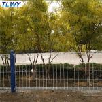China Anping TLWY 30 Years Factory Powder Coated Double Wire Safety Fence