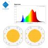 Buy cheap 7575 Dual Color Cob Led Chip 600w+600w 54v 60v For Photography Light from wholesalers