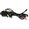 Buy cheap anbus Smart Xenon Kit Hot Selling 12V 55 hid xenon headlights wiring harness from wholesalers