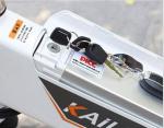 48V 250w Electric Beach Cruiser Bicycle