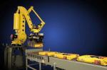 Auto Weighing 25kg Open Mouth Bag Packing Palletizing Line