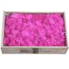 Buy cheap Soft Touch Preserved Moss Real Fresh Moss For Wall Decoration from wholesalers