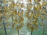 Luxury Crystal Lighting PVD Plating Machine Multi Arc Ion Coating