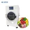 Buy cheap Pharmaceutical Herbs Vacuum Freeze Dryer Medium Food Dehydrator With Pump from wholesalers