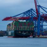 Vehicle And Construction Machinery Break Bulk Shipping Services From China NVOCC