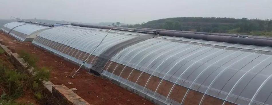 Optimized Irrigation System Tomato Sunlight Greenhouse