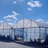 Buy cheap Film Cover Agriculture Multi Span Greenhouse for Vegetable/Crop/Flower/Fruit Planting from wholesalers