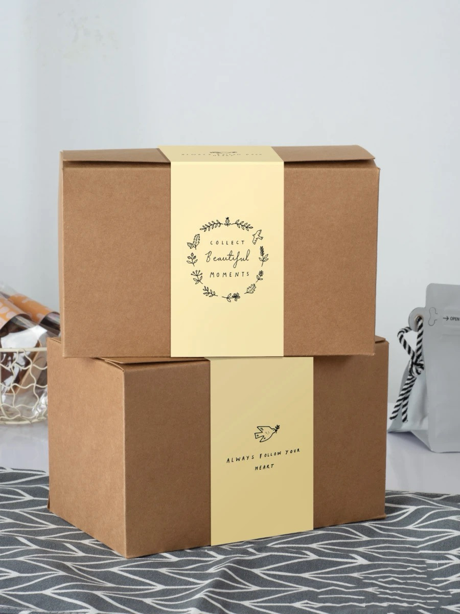 Biodegradable Paper Food boxes - Environmentally Friendly and Convenient for Outdoor Dining