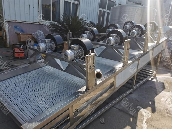 300T/D SS316L Mango Processing Line Concentrating Sterilizing