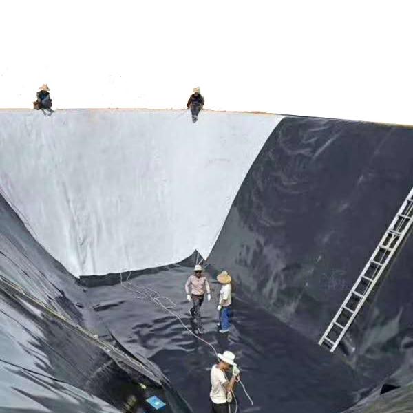 HDPE Waterproof Geomembrane Soil Stabilization Geocell Grid for Dam Landfill