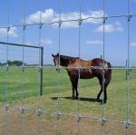 Rot Proof Fixed Knot Steel Farm Field Fence for Safe and Secure Animal