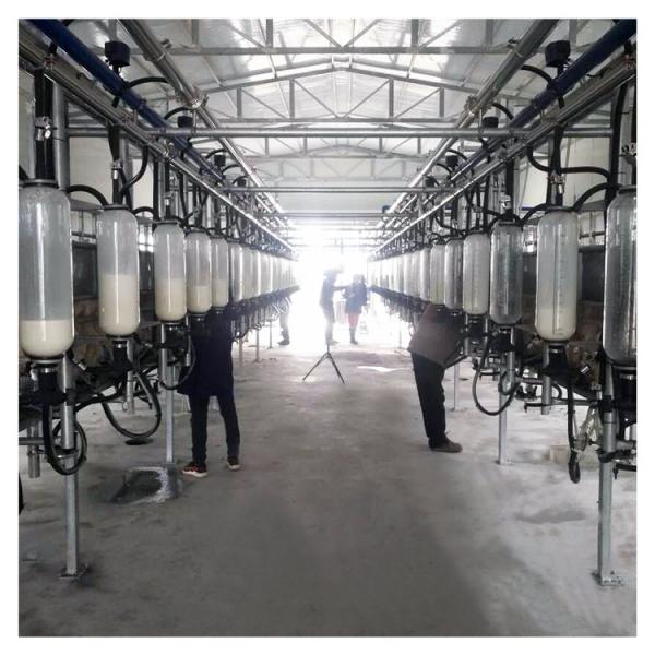 Buy cheap 380v 7.5kw Herringbone Milking Parlor for goat farm from wholesalers