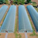 30-Day Return Refunds Greenhouse Hydroponics System Agricultural Tunnel