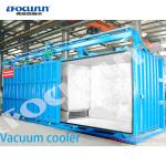 Precooling Machine 1000KG one pallet Vacuum Cooler for Lettuce 380V/3P/50HZ