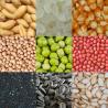 Buy cheap SLY-C Automatic counting machine for rice, wheat, rapeseed, vegetables, flowers, tobacco a from wholesalers