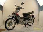 12v 5ah CUB Motorcycle Automatic Clutch 110cc Pit Dirt Bike Honda 125cc