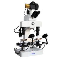 Buy cheap Binocular 45° Inclinded Head Portable Digital Microscope 3.36x - 216x Total product
